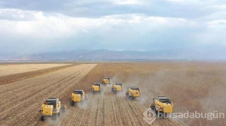 Doğu'nun 'tahıl ambarı'ndan 181 milyon TL'lik gelir bekleniyor!