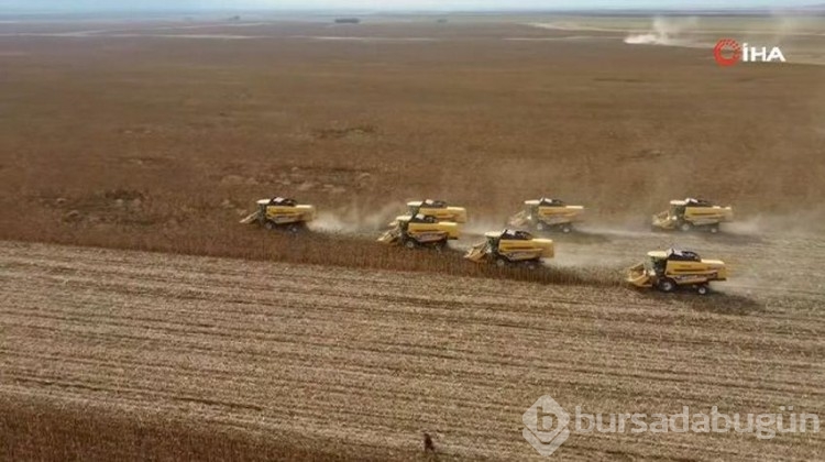 Doğu'nun 'tahıl ambarı'ndan 181 milyon TL'lik gelir bekleniyor!