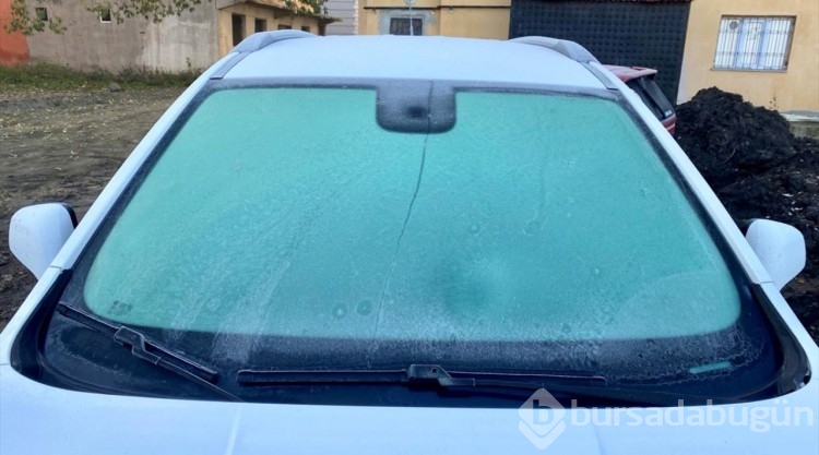 Ardahan'da sis ve buzlanma oluştu, Kars'ın yükseklerine kar yağdı
