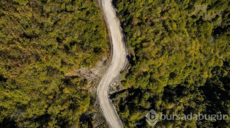 Ilgaz Dağı'nda sonbahar renkleri hakim olmaya başladı
