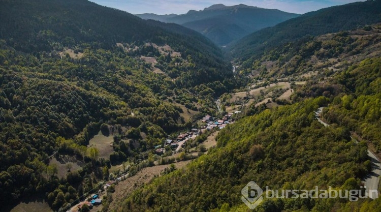 Ilgaz Dağı'nda sonbahar renkleri hakim olmaya başladı
