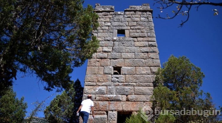 Doğaseverler, Nemrut Kalderası'nda kamp yapmayı tercih ediyor