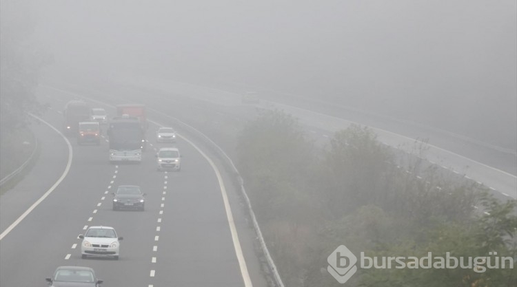 Düzce'de sis etkili oldu
