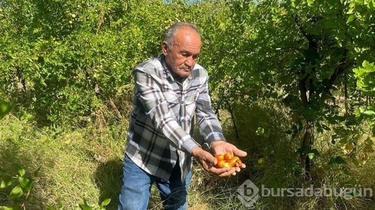Yiyenin doktora gitmesine gerek yok!