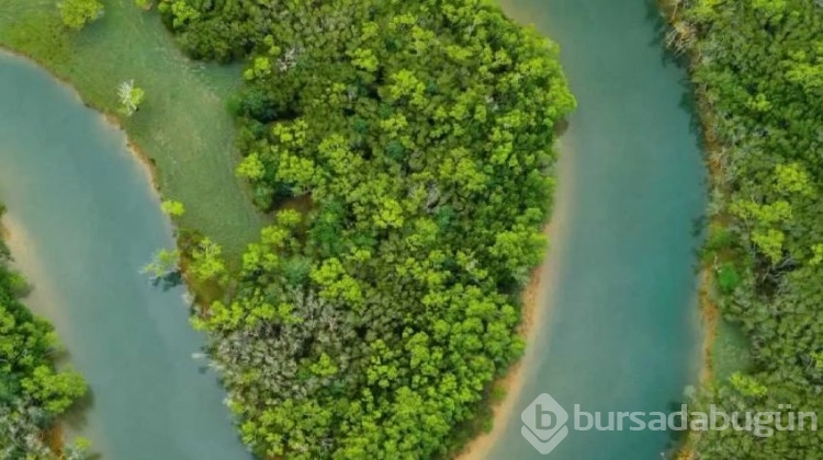 İşte Türkiye'nin en güzel 5 nehri