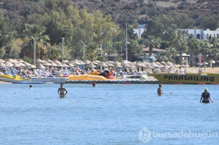 Bodrum'da "sarı yaz" yoğunluğu