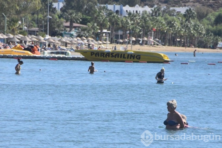 Bodrum'da "sarı yaz" yoğunluğu