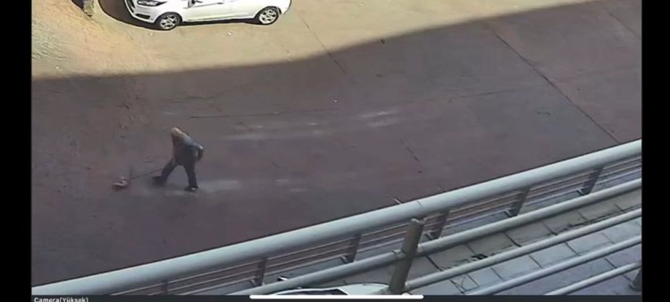 Yavru kediyi paspasla sürükleyip çöpe attı