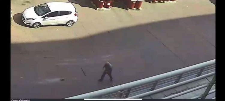 Yavru kediyi paspasla sürükleyip çöpe attı