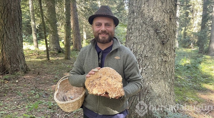  Abant Gölü Milli Parkı'nda mantar avı!