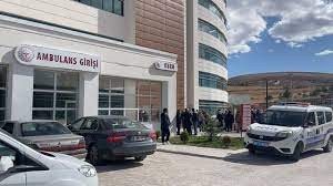 Bayburt'ta kadın cinayeti: Kız kardeşini katletti, eniştesini yaraladı