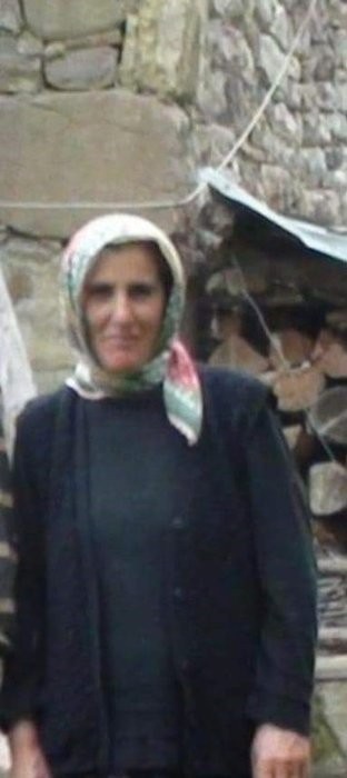 Artvin'de komşu katliamı! Arazi kavgası kanlı bitti