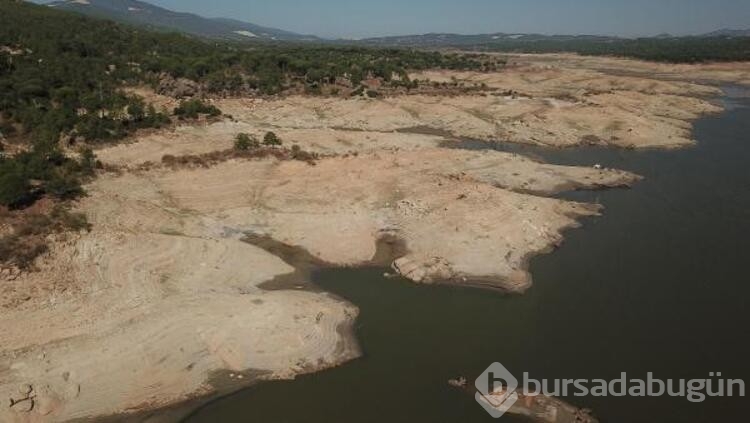 Bodrum'a 'sondajlı çözüm' önerisi