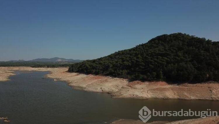 Bodrum'a 'sondajlı çözüm' önerisi