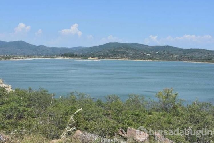 Bodrum'a 'sondajlı çözüm' önerisi
