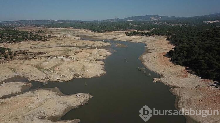 Bodrum'a 'sondajlı çözüm' önerisi