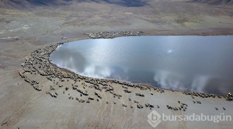 Nemrut Dağı'ndaki yaylalarda konaklayan göçerler dönüş için hazırlıklara başladı
