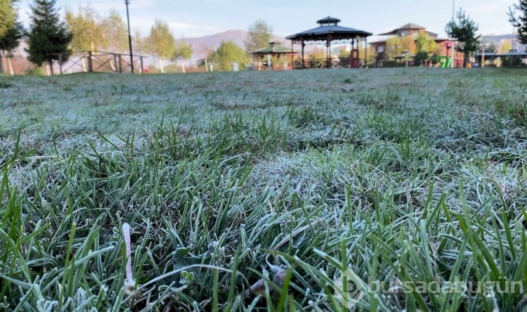 Ardahan soğukluğunda ateş yakıp ısındılar