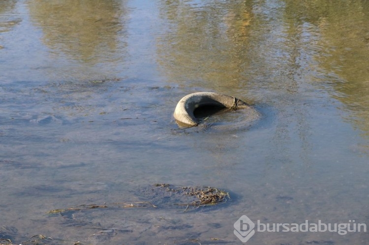 Tunca Nehri çöplüğe döndü
