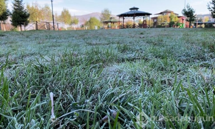 Ardahan'da esnaf soğuk havayla mücadele etti