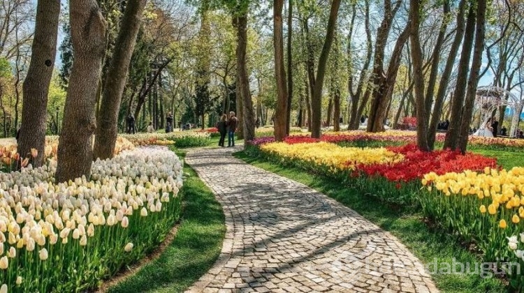 İstanbul'da yürüyüş yapılacak en güzel 8 park