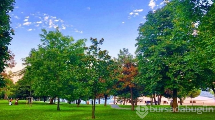 İstanbul'da yürüyüş yapılacak en güzel 8 park