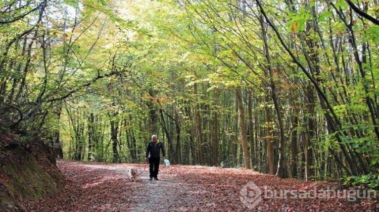 İstanbul'da yürüyüş yapılacak en güzel 8 park