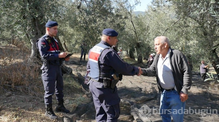 Edremit Körfezi'ndeki zeytin bahçeleri komandolara emanet
