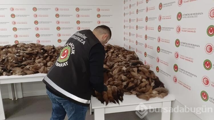 İstanbul Havalimanı'nda 10 bin 300 adet tilki kuyruğu ele geçirildi 
