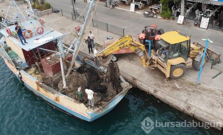 Temizlenen hayalet ağlar ile 2 milyon 750 bin balığın ölümü engellendi  
