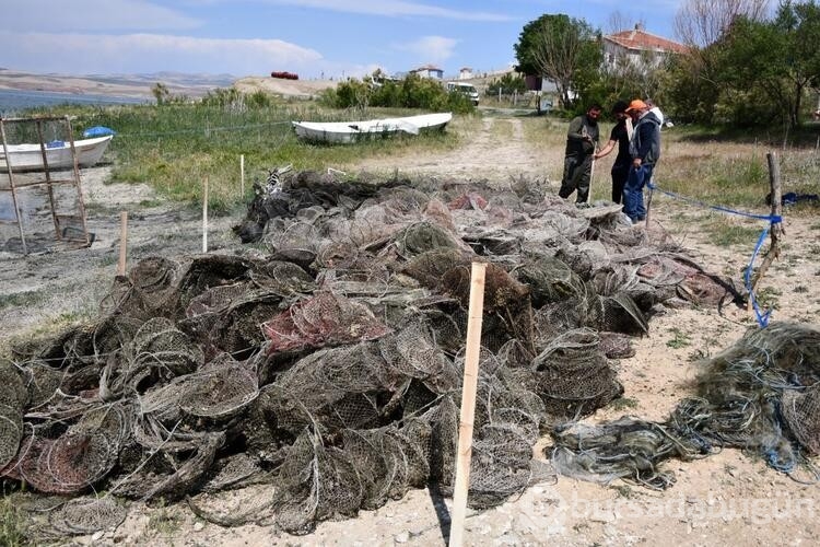 Temizlenen hayalet ağlar ile 2 milyon 750 bin balığın ölümü engellendi  

