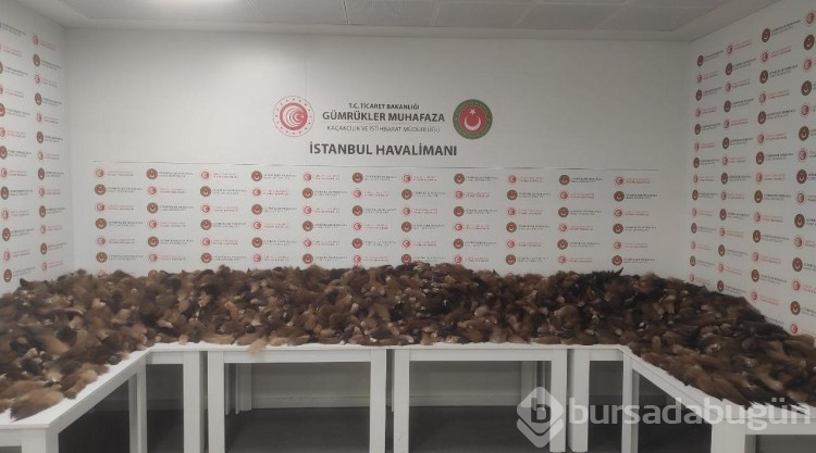 İstanbul Havalimanı'nda 10 bin 300 adet tilki kuyruğu ele geçirildi
