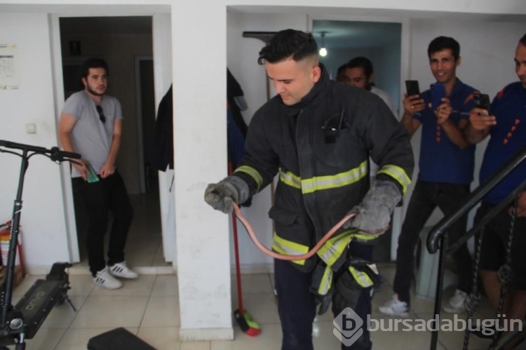 Kargo şubesinden zehirli yılan çıktı! 