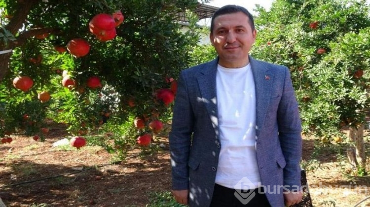 Hasatta yüksek rekolte sevinci! Üretici her sene 160 ton üretiyor