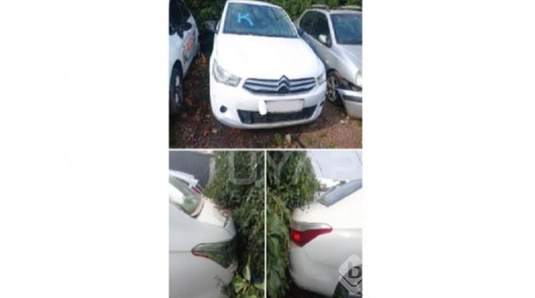 Bu otomobiller kapış kapış gidiyor: Hepsi 350 bin TL altı...
