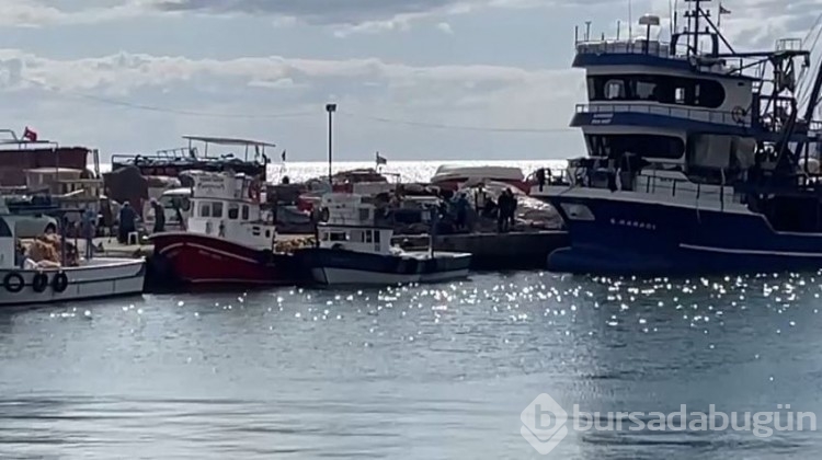 Karadeniz'de hamsi bereketi!