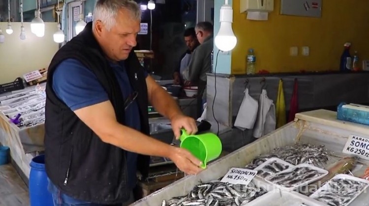 Karadeniz'de hamsi bereketi!