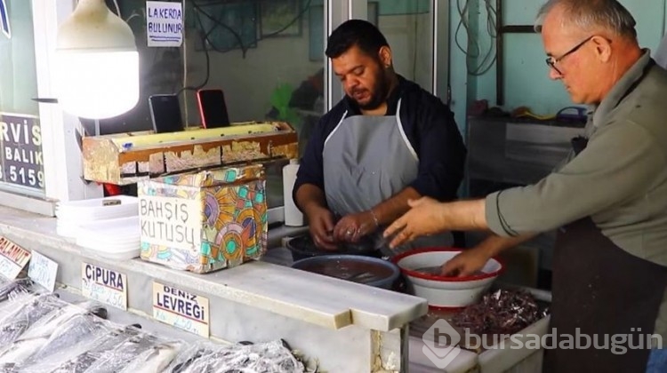 Karadeniz'de hamsi bereketi!