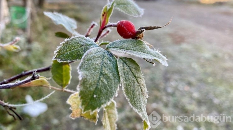 Ardahan'da soğuk hava etkili oldu
