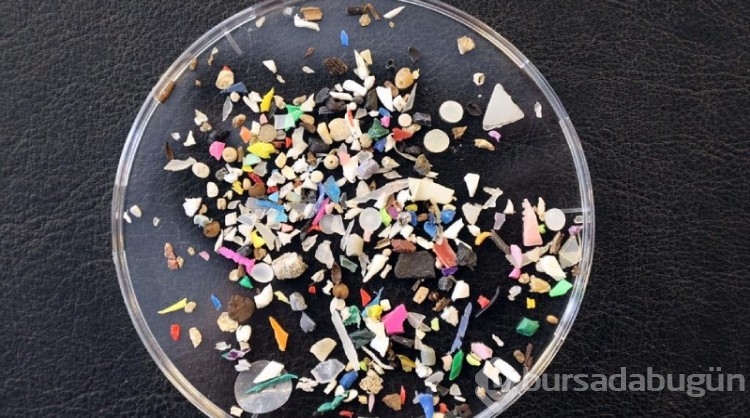 Araştırma: Nano plastikler insan genetiğini olumsuz etkiliyor

