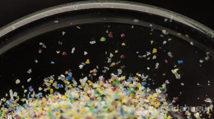 Araştırma: Nano plastikler insan genetiğini olumsuz etkiliyor
