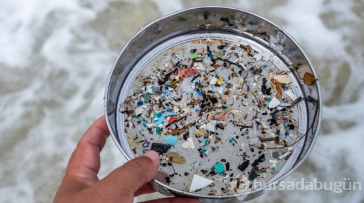 Araştırma: Nano plastikler insan genetiğini olumsuz etkiliyor
