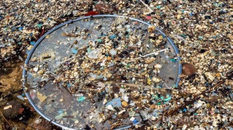 Araştırma: Nano plastikler insan genetiğini olumsuz etkiliyor
