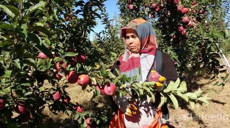 İşsizliği bitirdi, göçü tersine çevirdi
