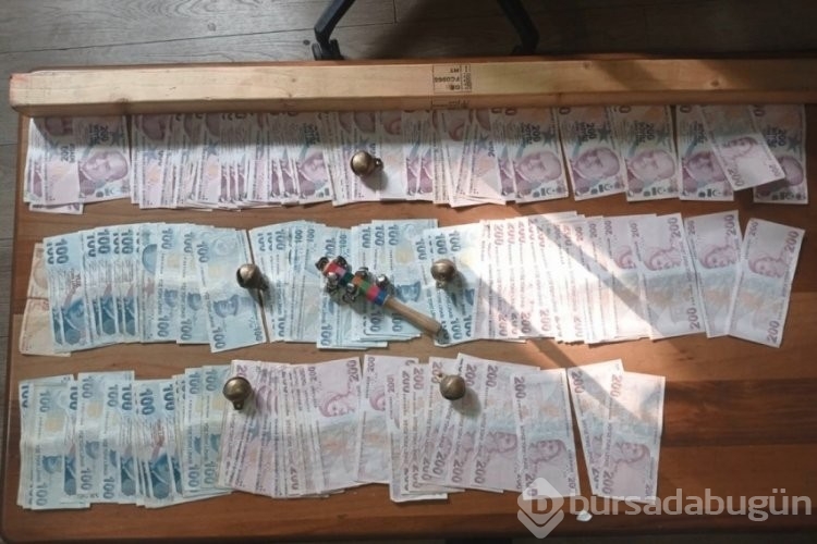 İstanbul'da köpek dövüşü operasyonu: 24 kişiye ceza kesildi