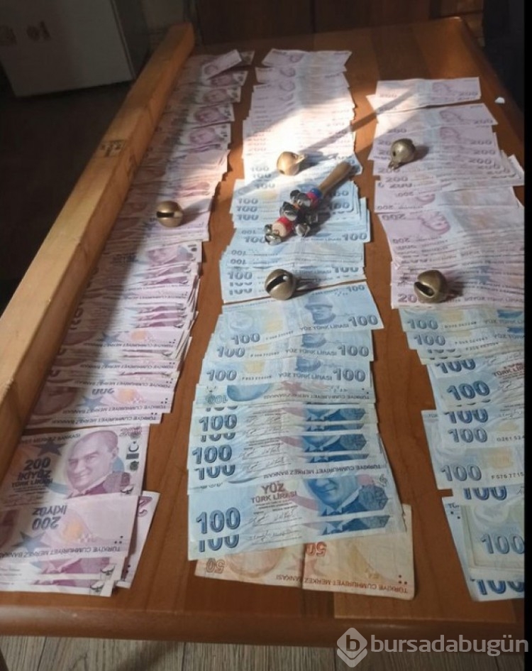 İstanbul'da köpek dövüşü operasyonu: 24 kişiye ceza kesildi