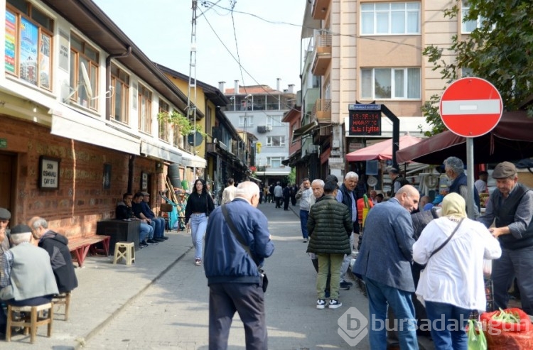 Bursa'da kamyonet sahipsiz kediyi ezdi, arkasına bakmadan gitti