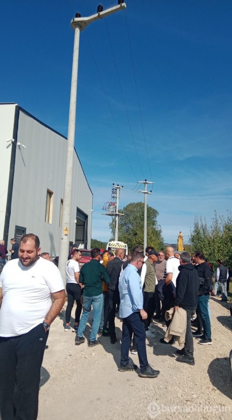 Mudanya Belediyesi'nden kaçak yapı yıkımı