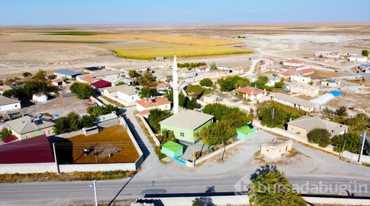 Kaligrafi öğrenen imam camilerde sanatını icra ediyor