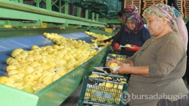 Avrupa Adana'dan almak için sıraya giriyor!